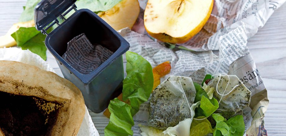 Apfel, Kaffeesatz und Teebeutel gehören in die Biomülltonne