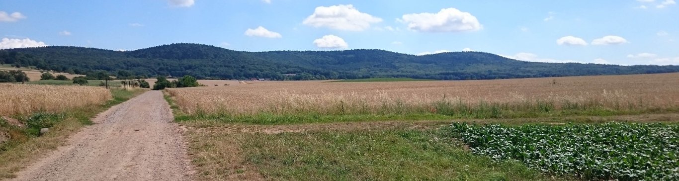 Feldweg zwischen Altenhasslau und Geislingen