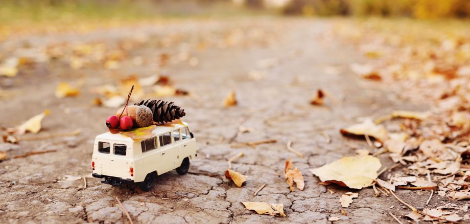 Ein Miniatur-VW-Bulli, auf dem Waldfrüchte des Herbstes liegen auf einem Feldweg